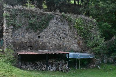 Azala - Andonegiko ola