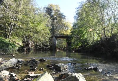 Azala - Andonegiko zubia