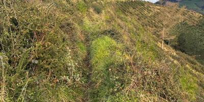 Kalamendiko lubakiak