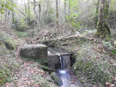 Azala - Ugaitz Urdinoleta