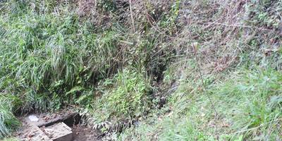 Ugaitz Pertika II ur-hartunea