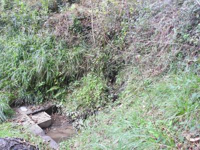 Azala - Ugaitz Pertika II