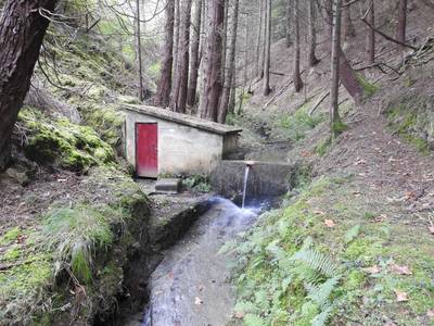 Azala - Ugaitz Beketxe