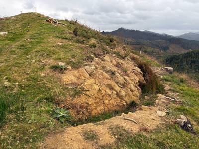 azala-legarmendiko-lubakiak