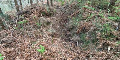 Txindurrimendiko lubakiak