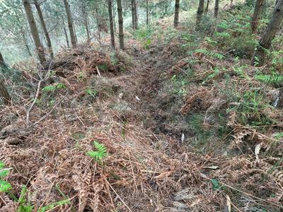 azala-txindurrimendiko-lubakiak