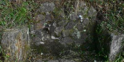 Kamino Torreko iturria