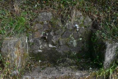 Azala - Kamino Torreko iturria