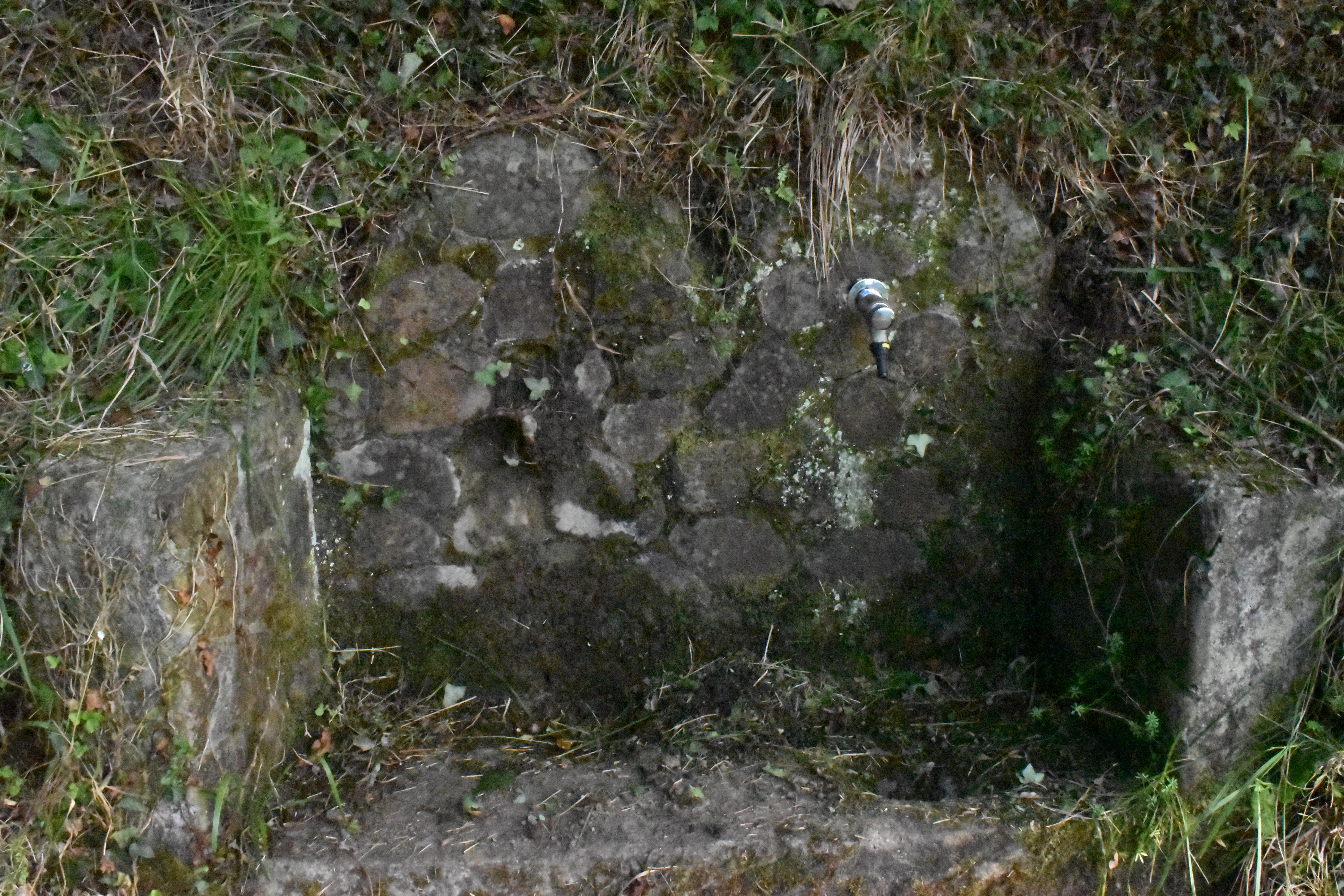 Kamino Torreko iturria