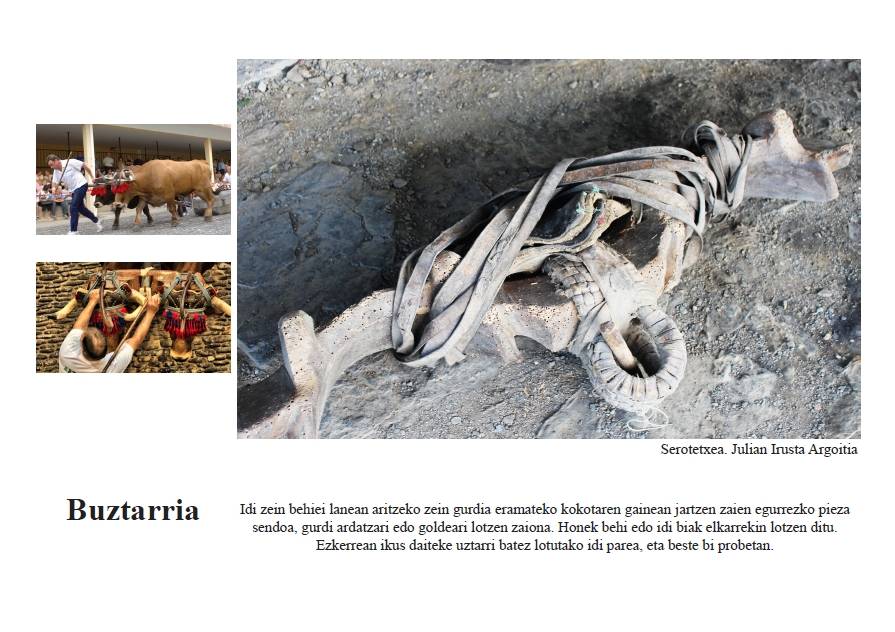 Buztarria [Baserriko tresnak]