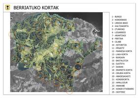 Berriatuko kortak. Mapa