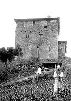 Aranzibia dorrea, soloan beharrean