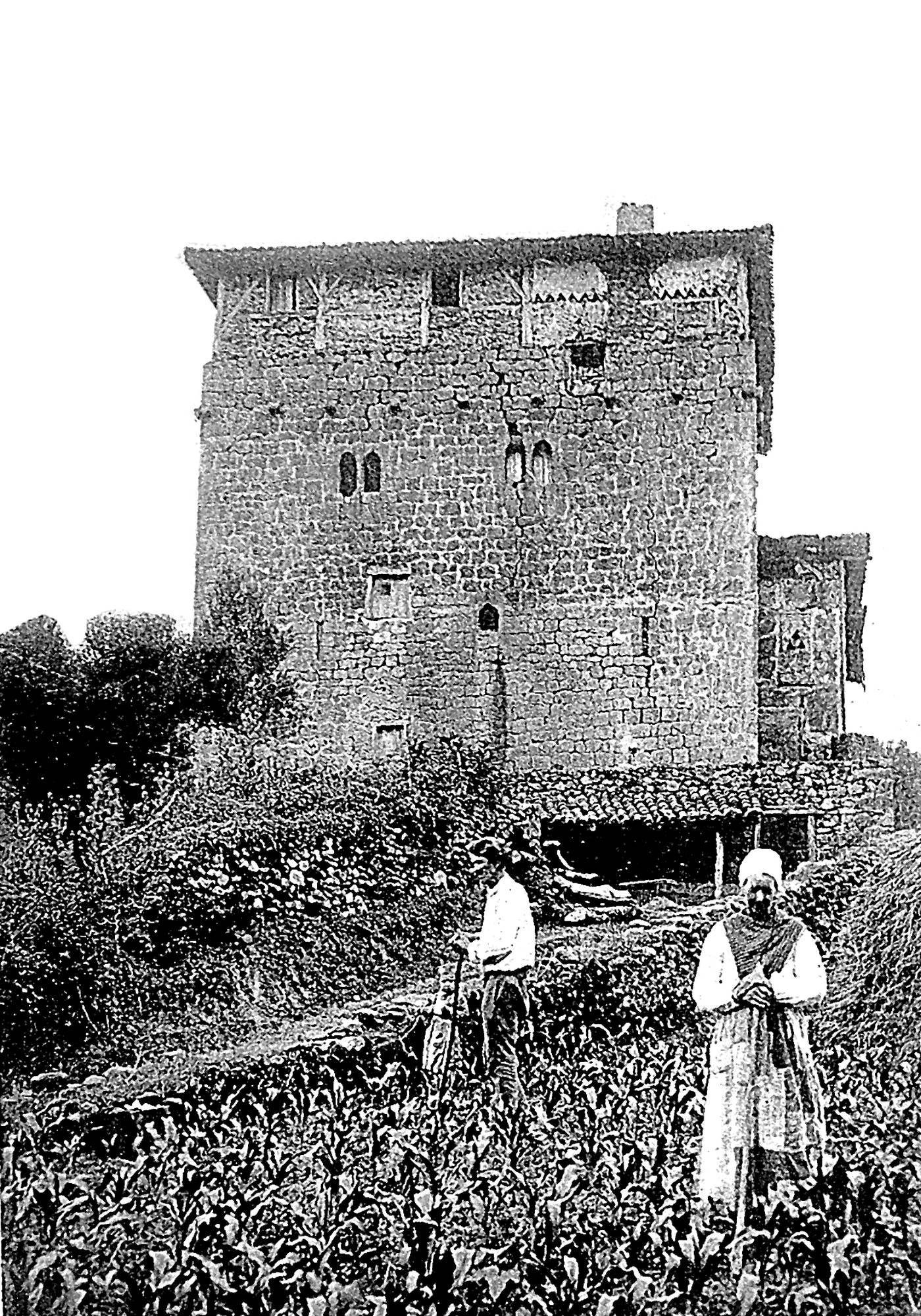 Aranzibia dorrea, soloan beharrean [Argazkia]