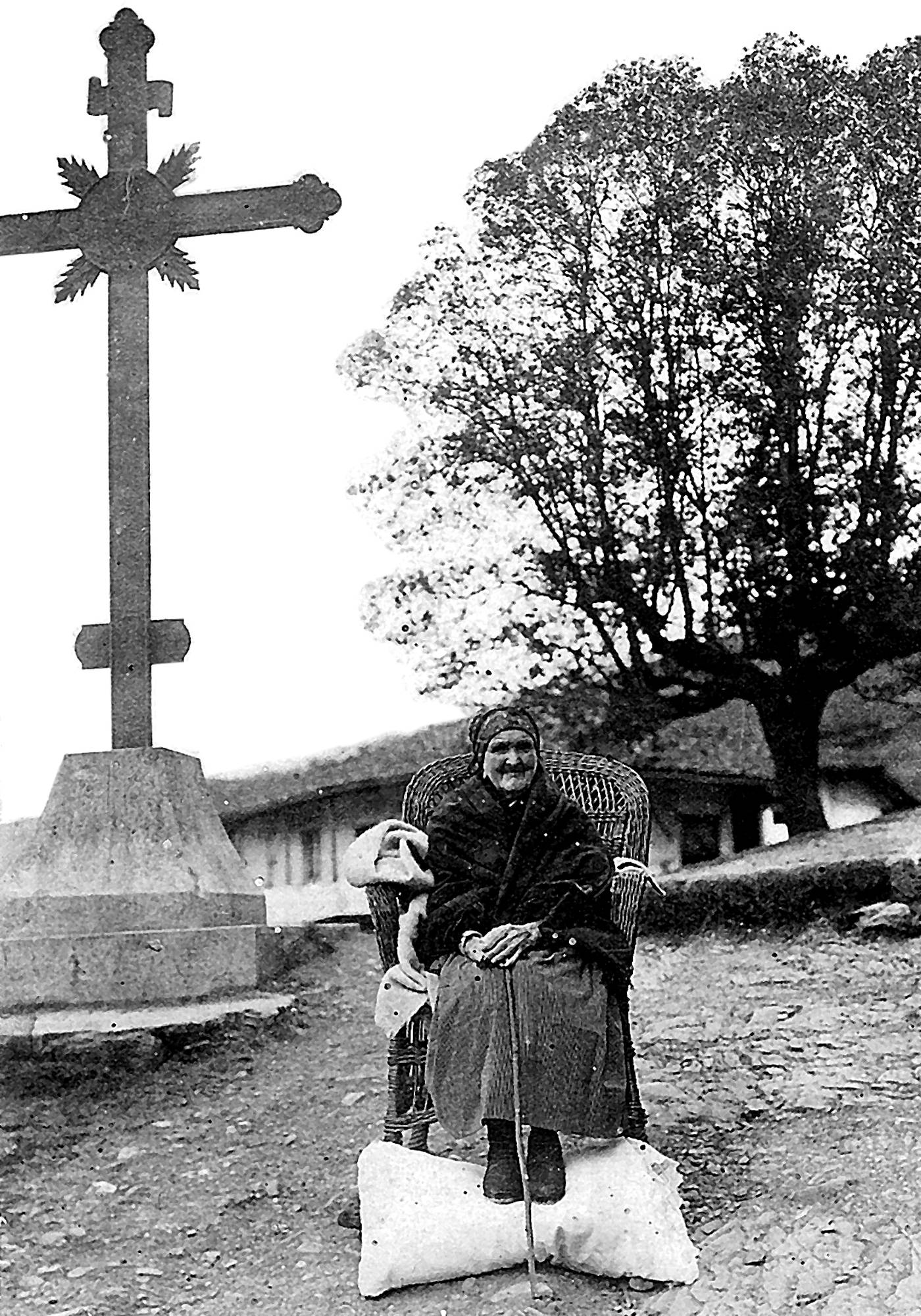 Tomasa Pertikeku [Argazkia]