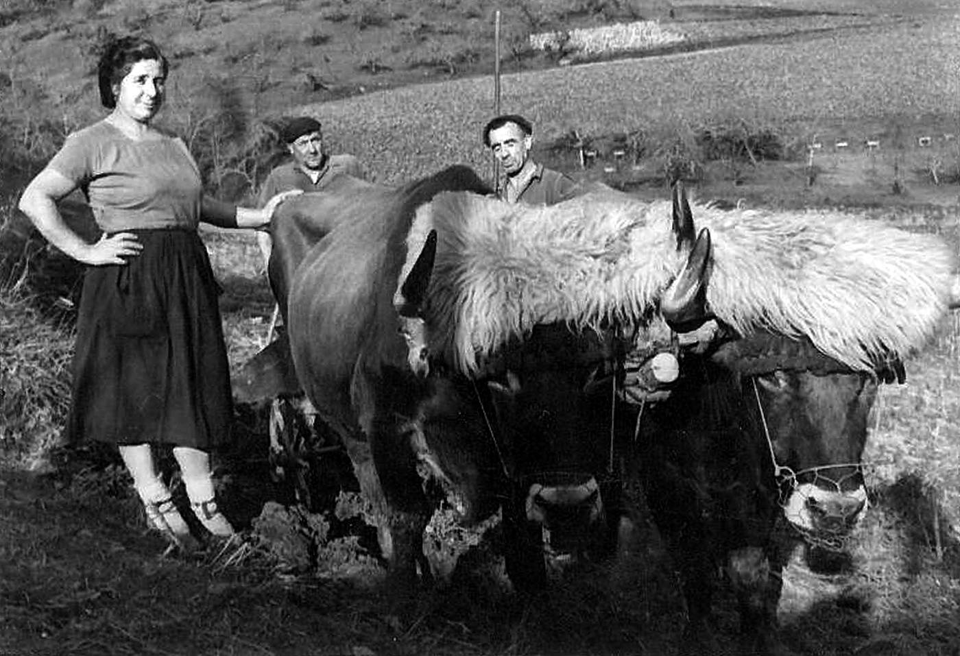 Andramarixe baserriko soloetan. Paquita Elordi, Ciprian Argoitia eta Julian Argoitia [Argazkia]