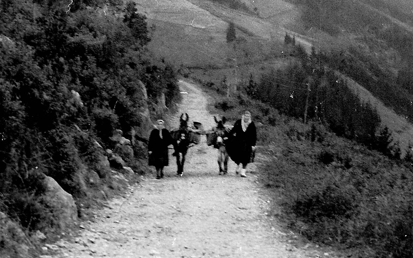 Esne saltzaileak. Marzelina Orbe eta Enkarna Aspiazu. Txaraka gainean, Ibarretarako bidean [Argazkia]