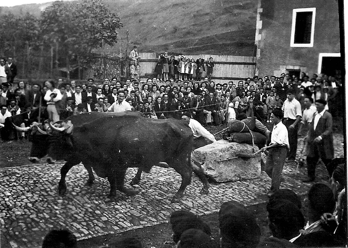 Plazan, herritarrak idi probak ikusten. [Argazkia]