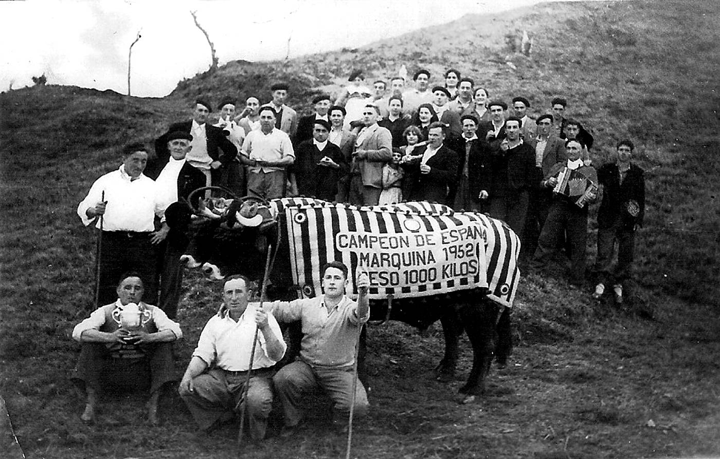 Idi-probak. Markinako probak irabazitako idi parea eta inguruan herritarrak, taldeko argazkian. [Argazkia]