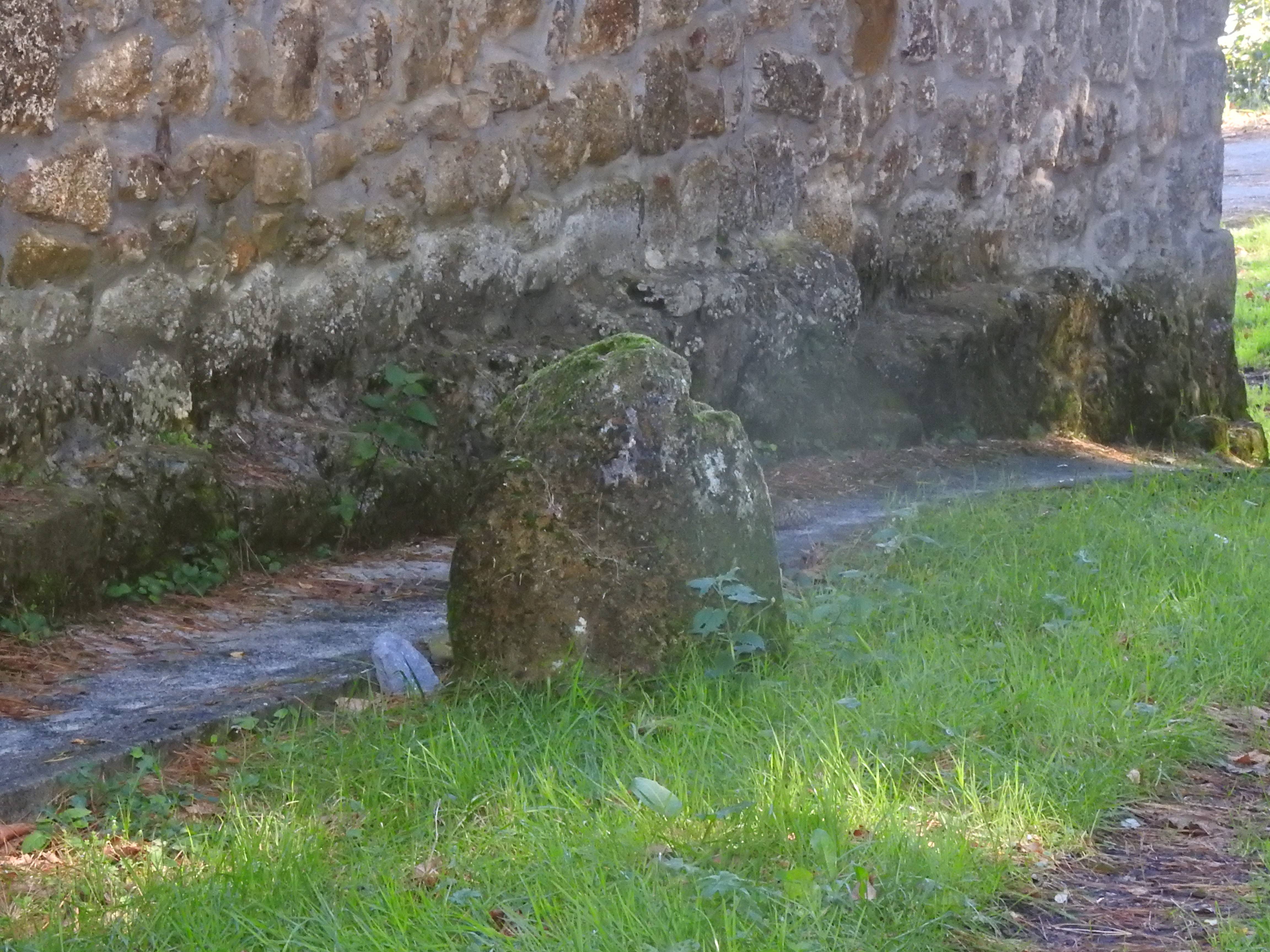 Arantzadiko kortarria [Bestelakoak]