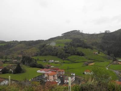 azala-mereludi-auzoa