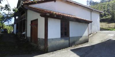 Pertikako perratokia