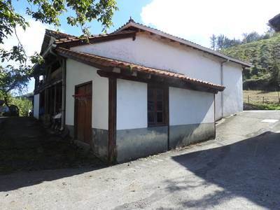 Azala - Pertikako perratokia