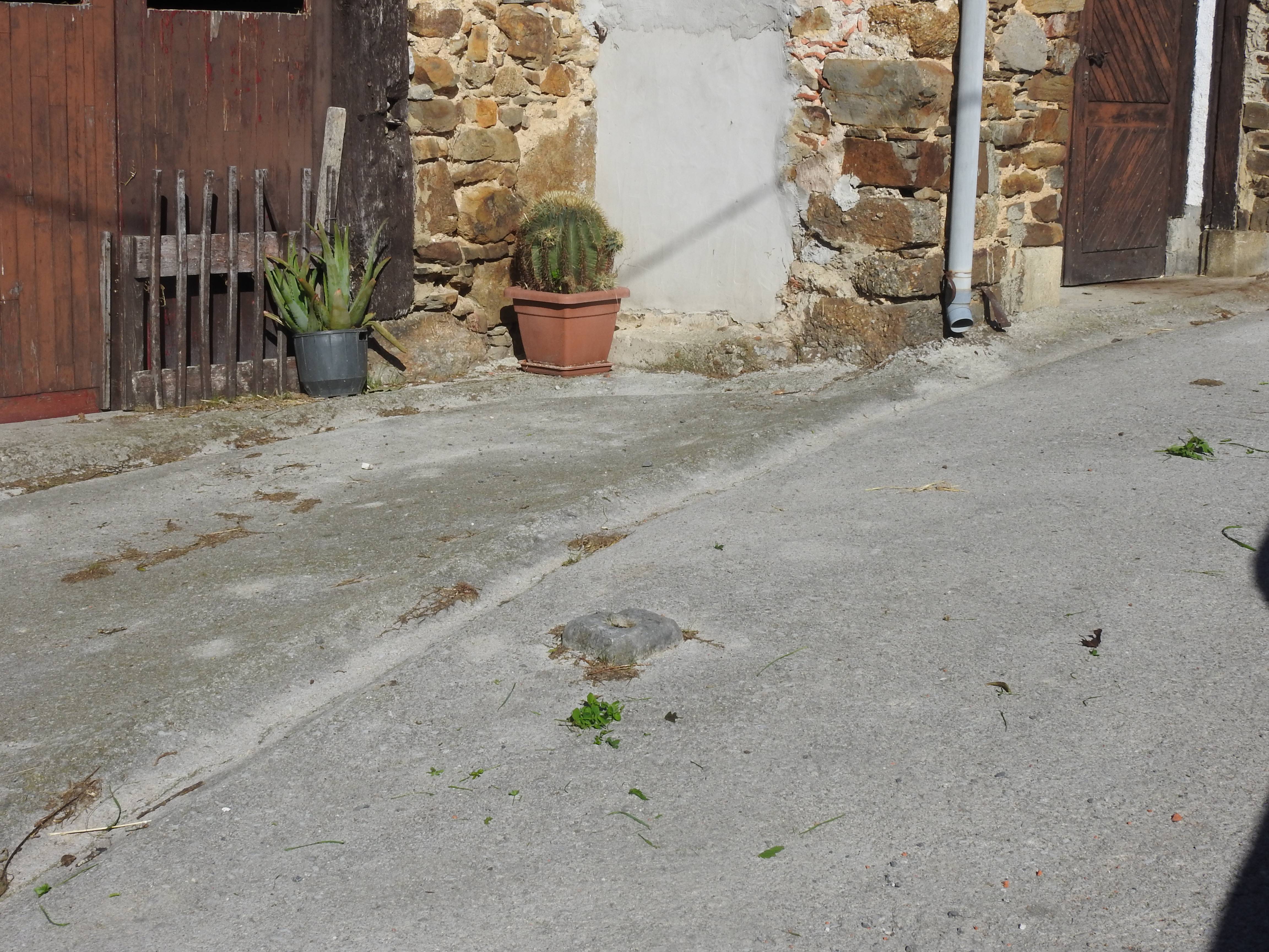 Pertikako kortarria [Bestelakoak]