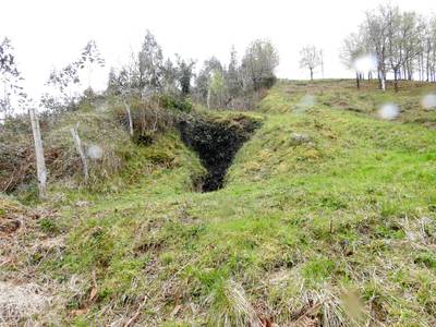 azala-ugaizko-agorrola